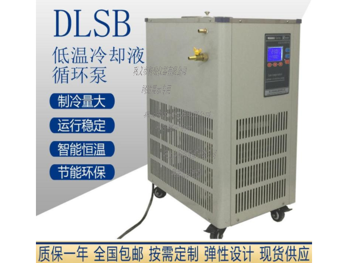 DLSB-80L低溫冷卻液循環泵